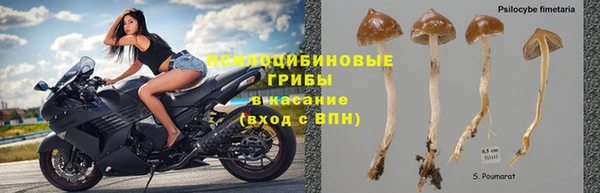 мдпв Балахна