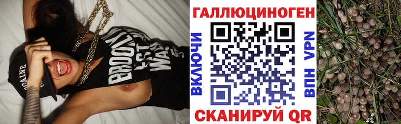Галлюциногенные грибы прущие грибы  Корсаков 