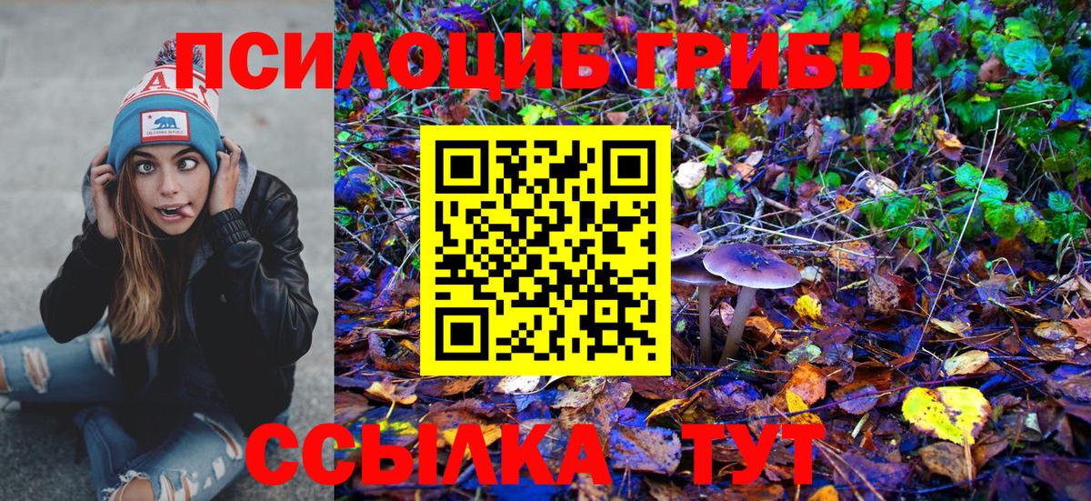 Псилоцибиновые грибы MAGIC MUSHROOMS Корсаков
