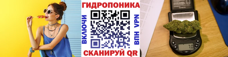hydra как зайти  Корсаков  Бошки марихуана план 